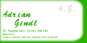 adrian gindl business card